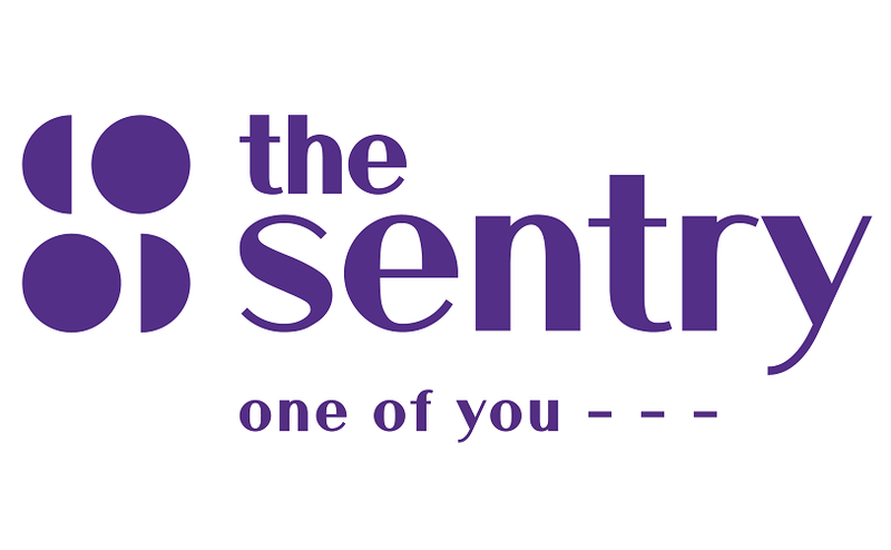 the sentry logo